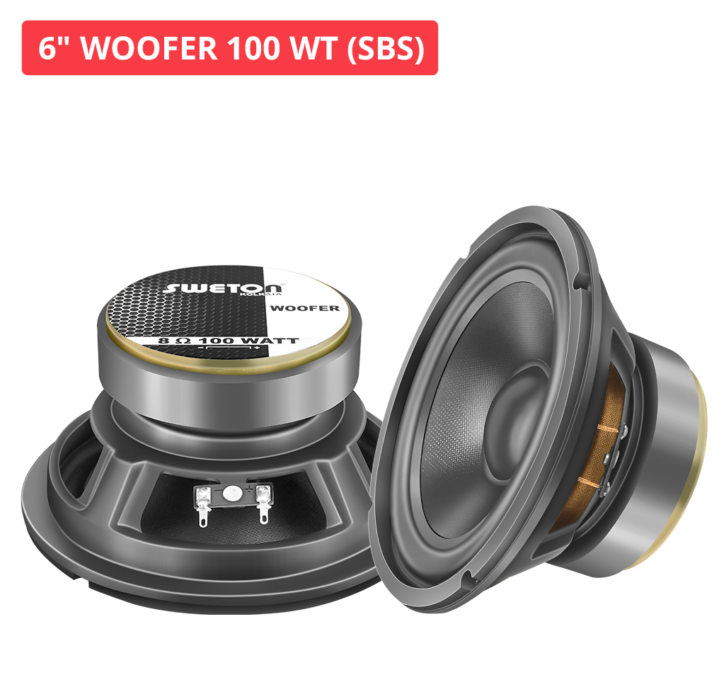 6" WOOFER 100 WT (SBS)