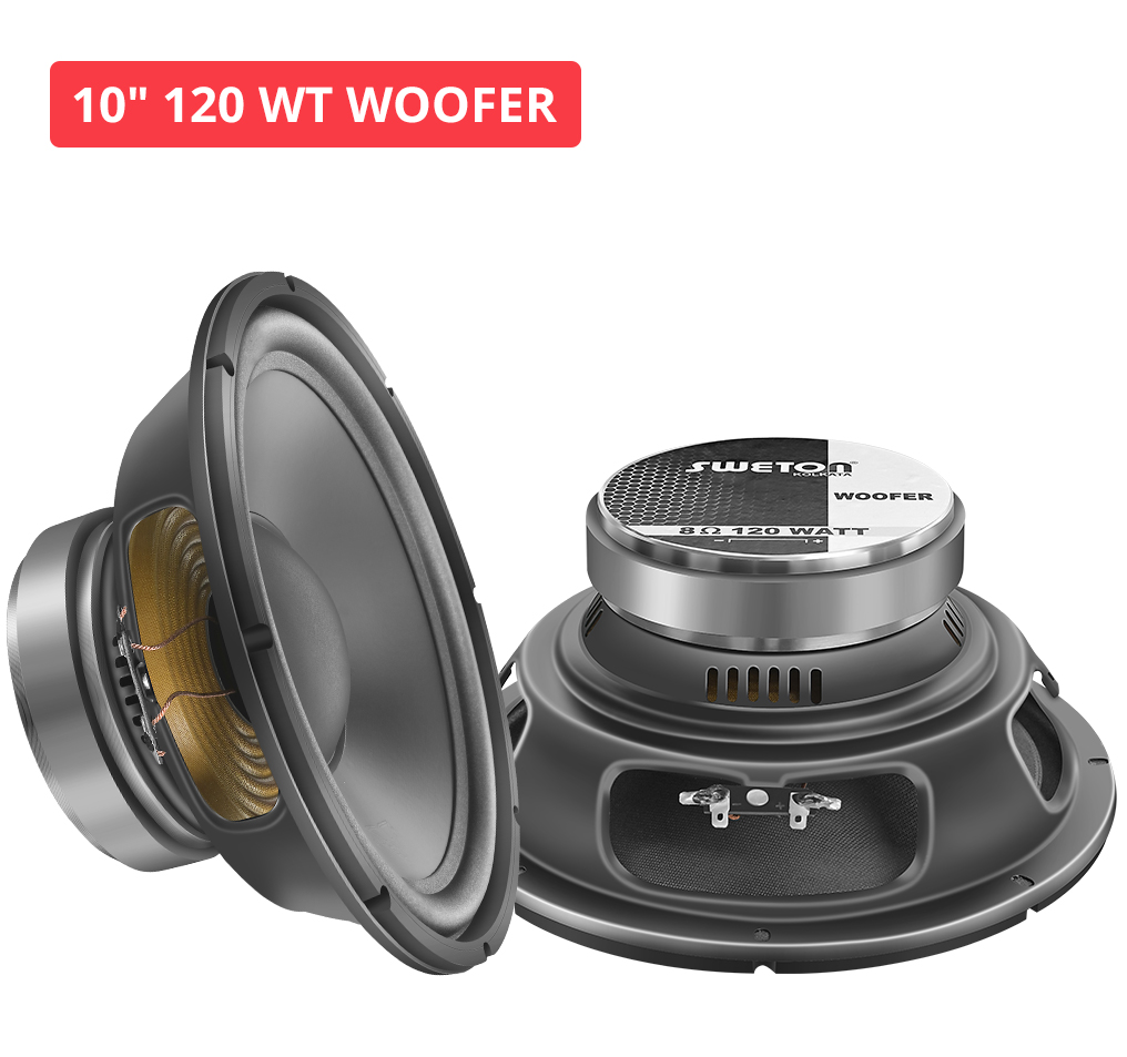 10" 120 WT WOOFER