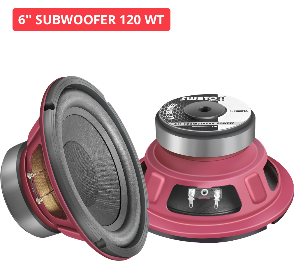 6'' SUBWOOFER 120 WT
