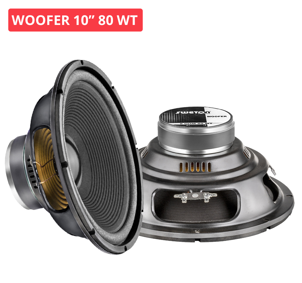 10" 80 WT WOOFER