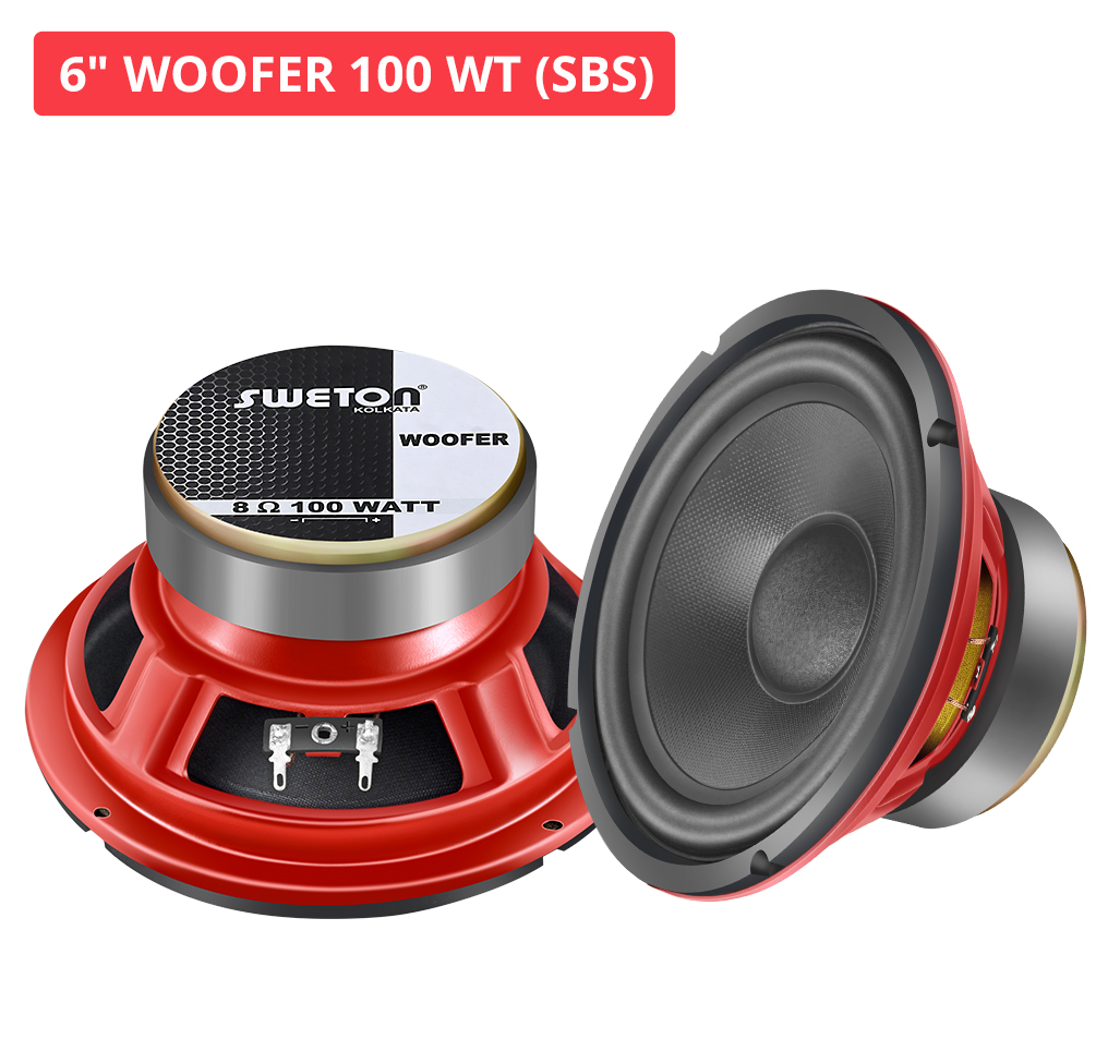 6" WOOFER 100 WT (SBS)