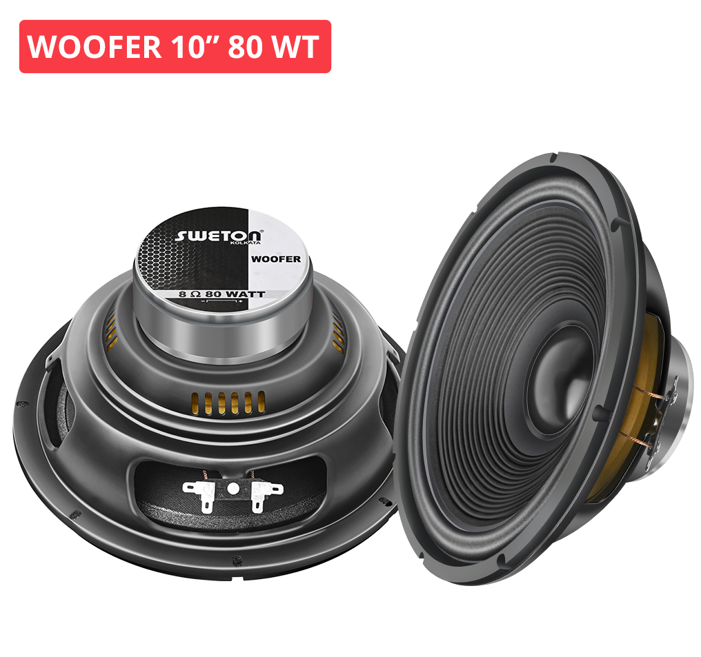10" 80 WT WOOFER