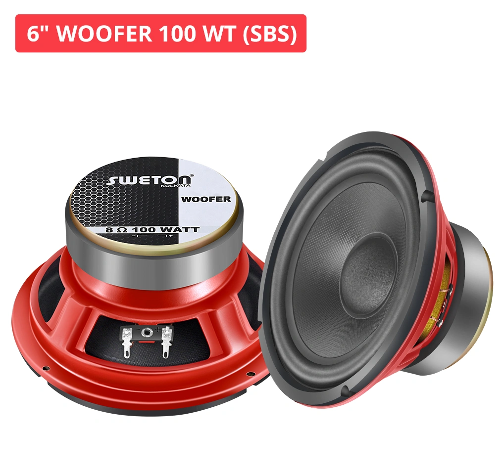 6" WOOFER 100 WT (SBS)