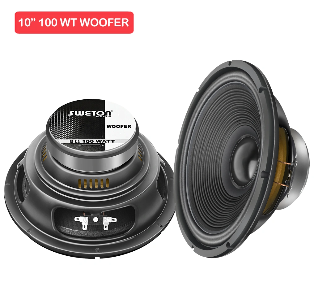 10" 100 WT WOOFER