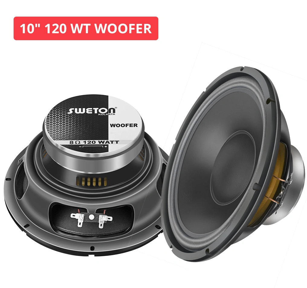 10" 120 WT WOOFER